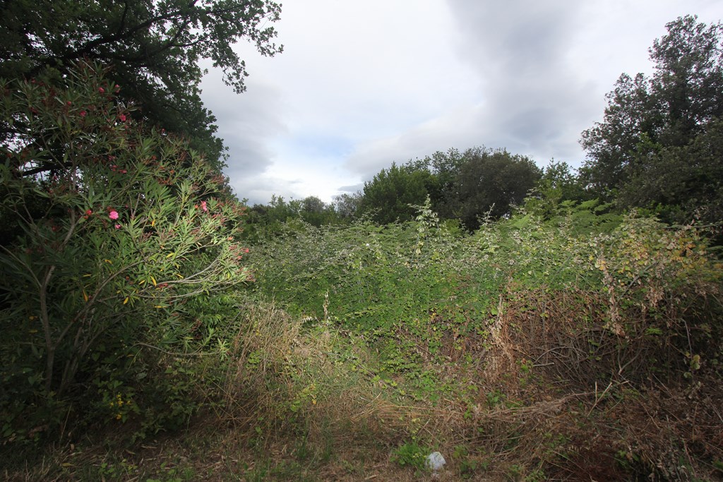 Участок в Гошичи