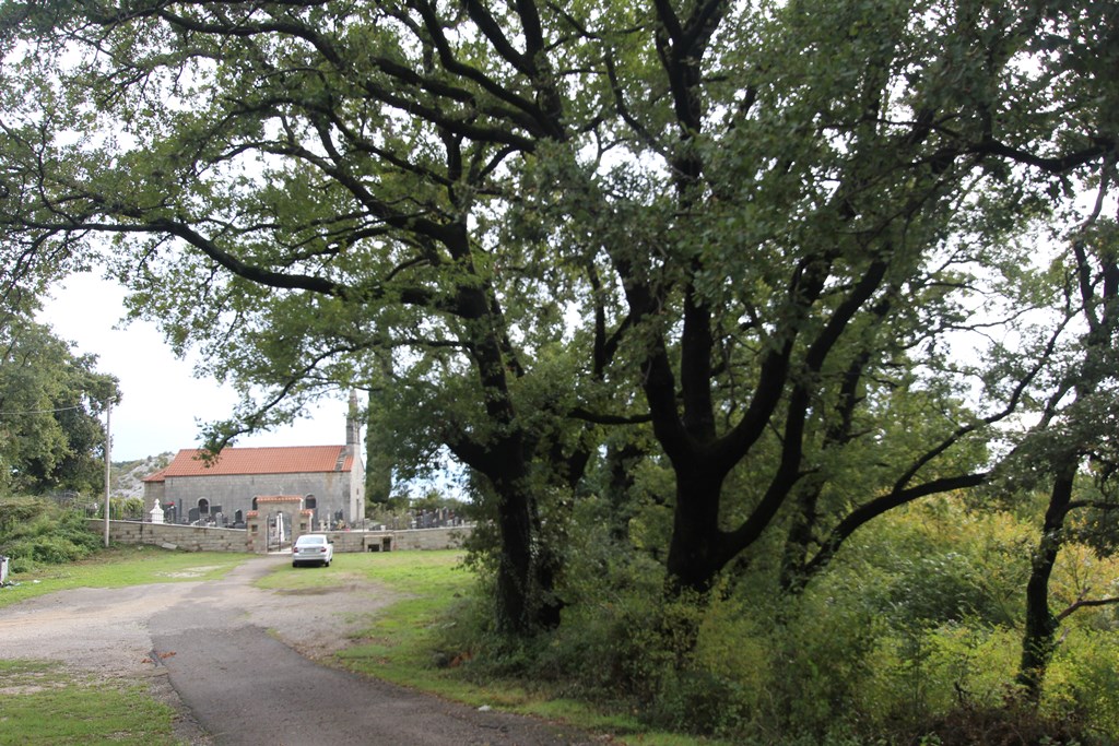 Участок в Марковичи