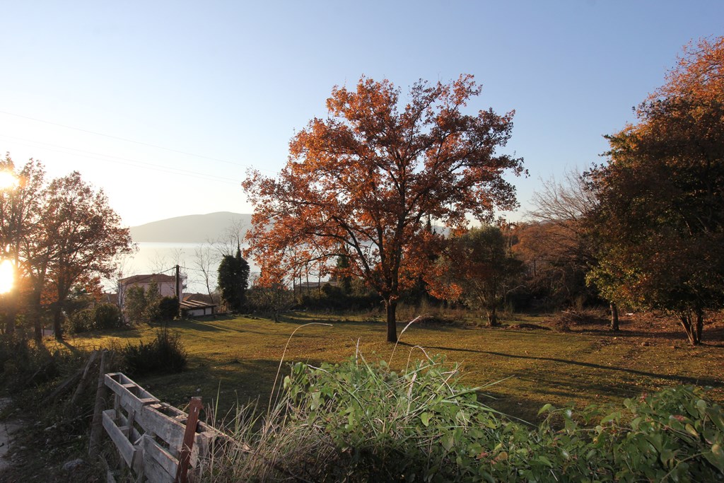 Участок в Кумборе