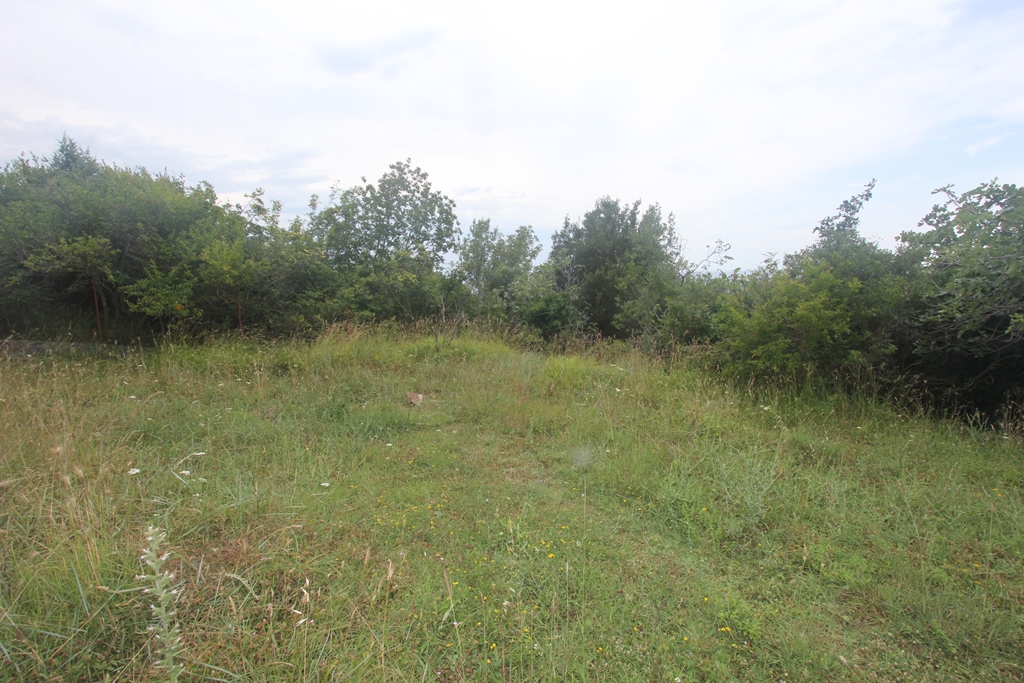 One Bedroom Renovation Project Sutomore