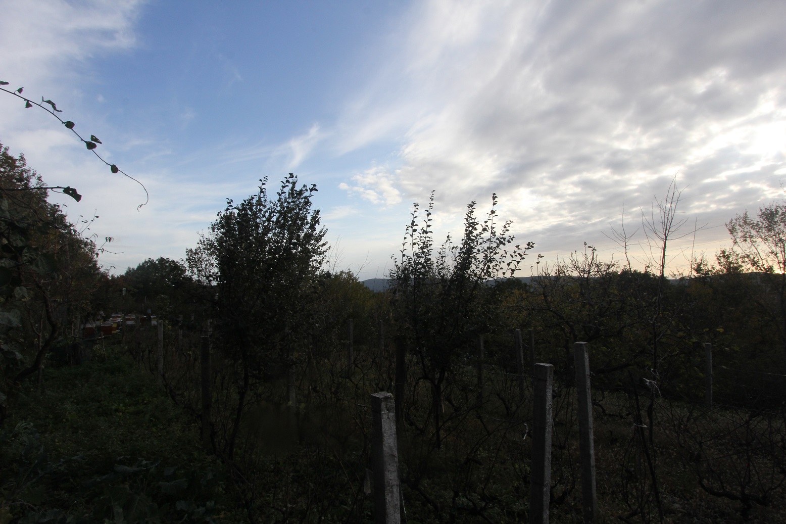 Участок в районе города Херцег Нови