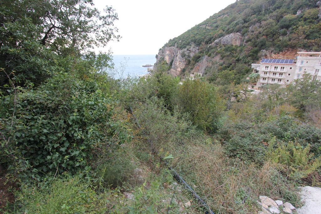 Участок в Режевичи