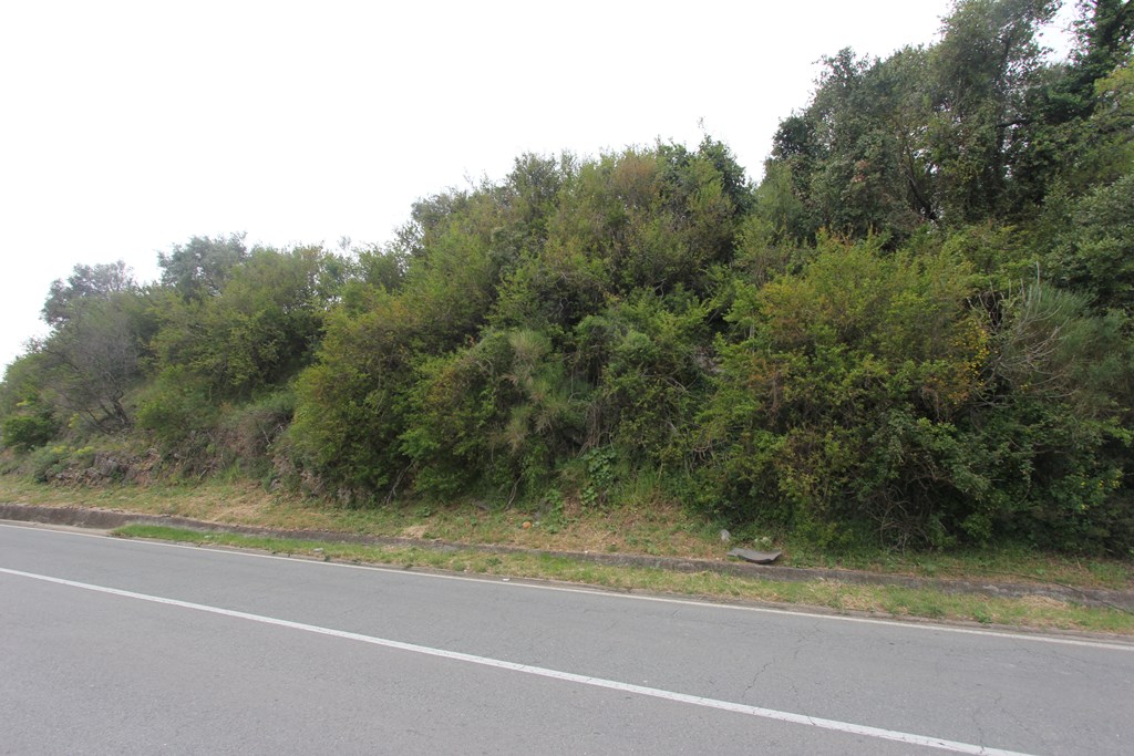 Участок в Дженовичи