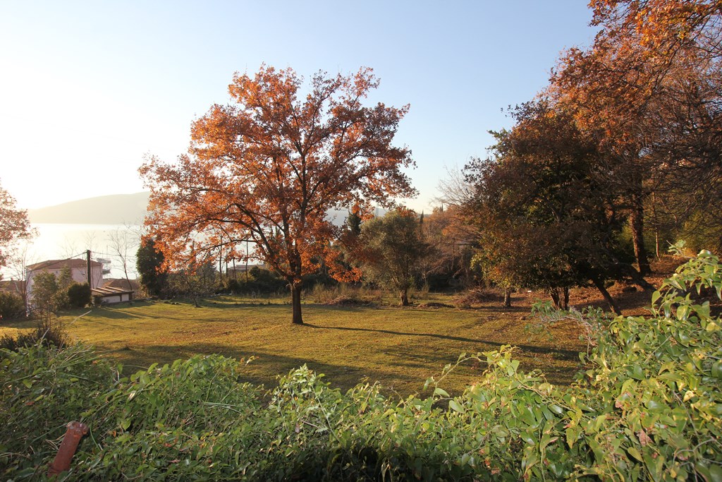 Участок в Кумборе