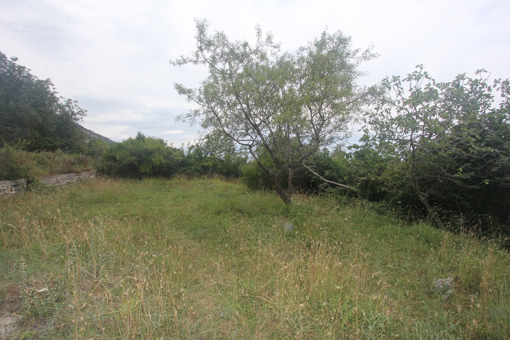 One Bedroom Renovation Project Sutomore