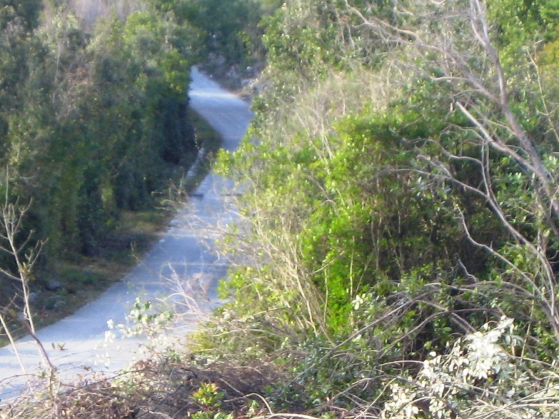 Land in Kotor with sea view