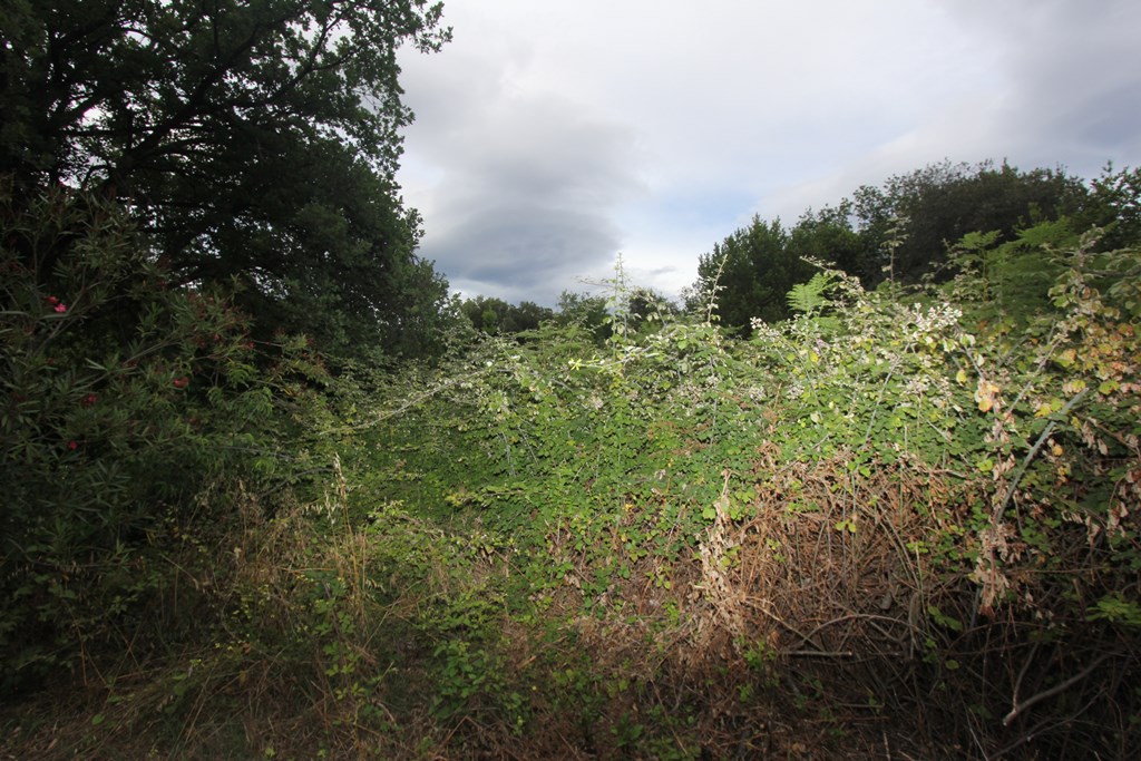 Участок в Гошичи