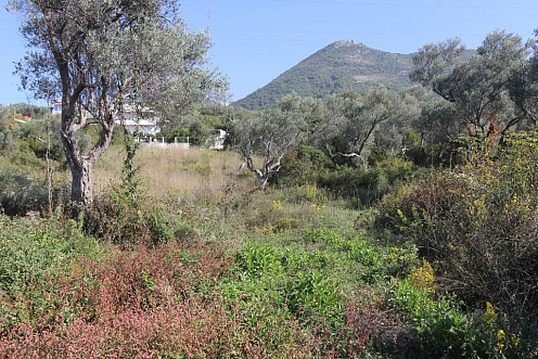 Участок в районе Бара