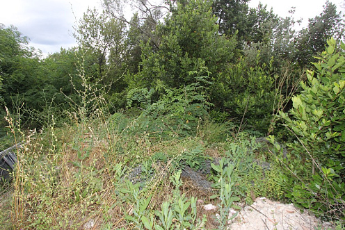 Участок в Гошичи