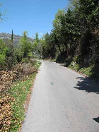 Участок в Мойдеж