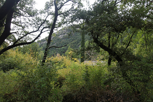 Участок в Марковичи