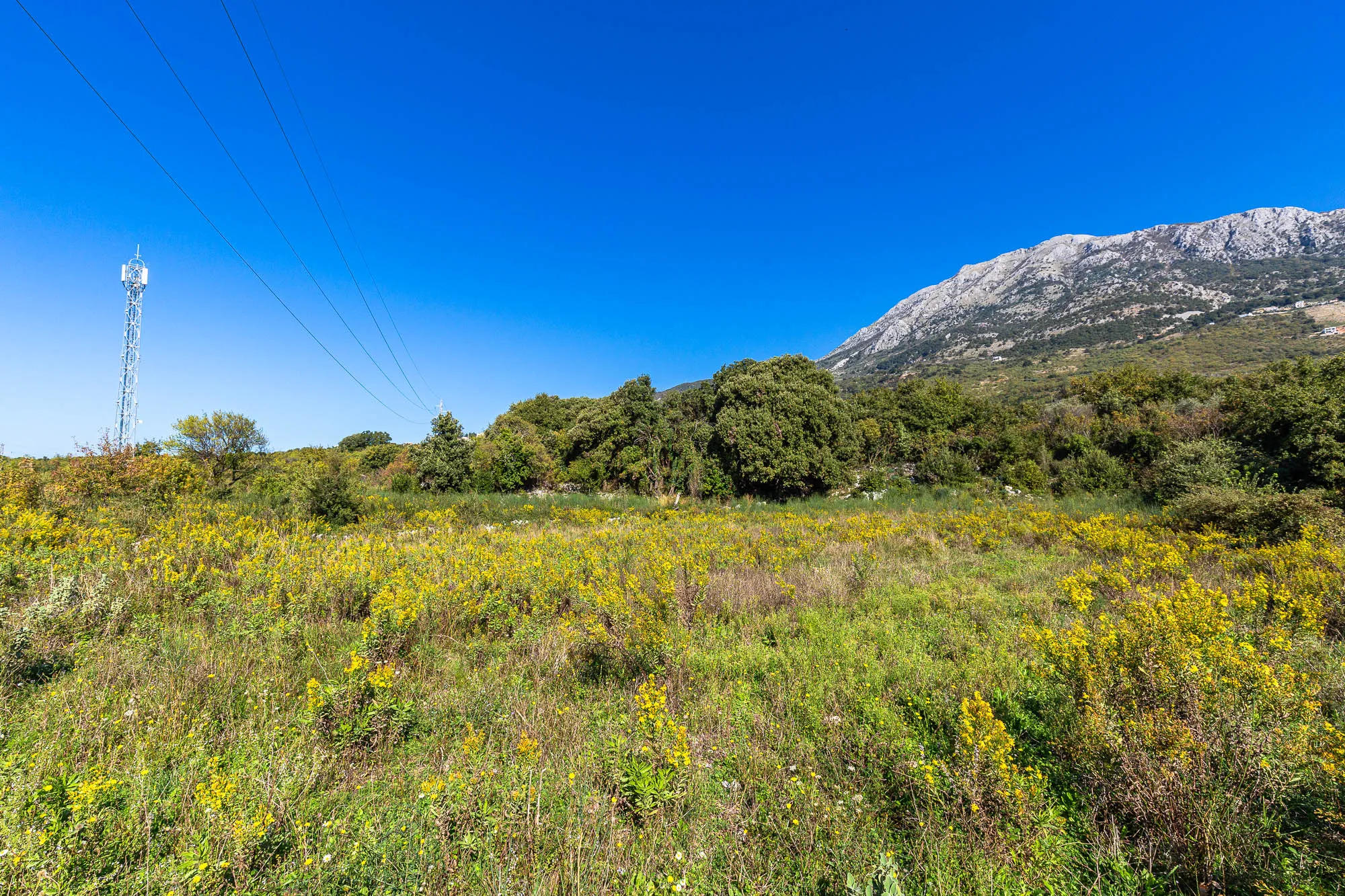 Plot in Bar-Pečurice 2003m²