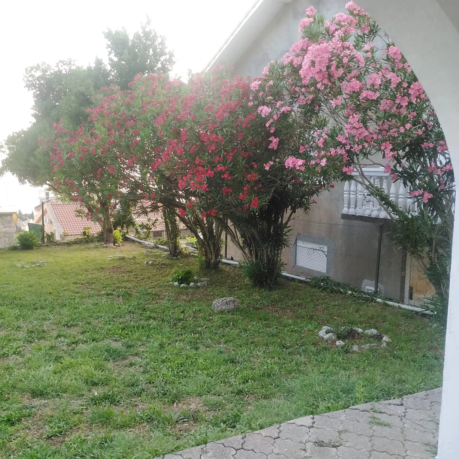 For sale house in Petrovac with a sea view