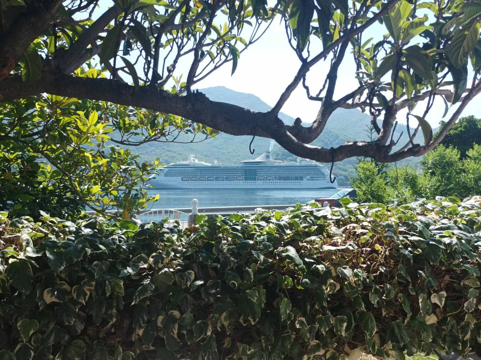 House on the first line from the sea in Herceg Novi