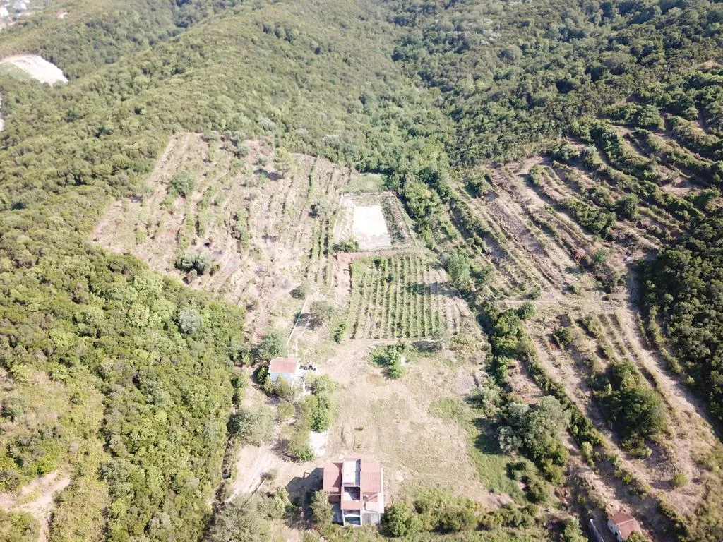  Plot in Radanovići, 83,000 m²