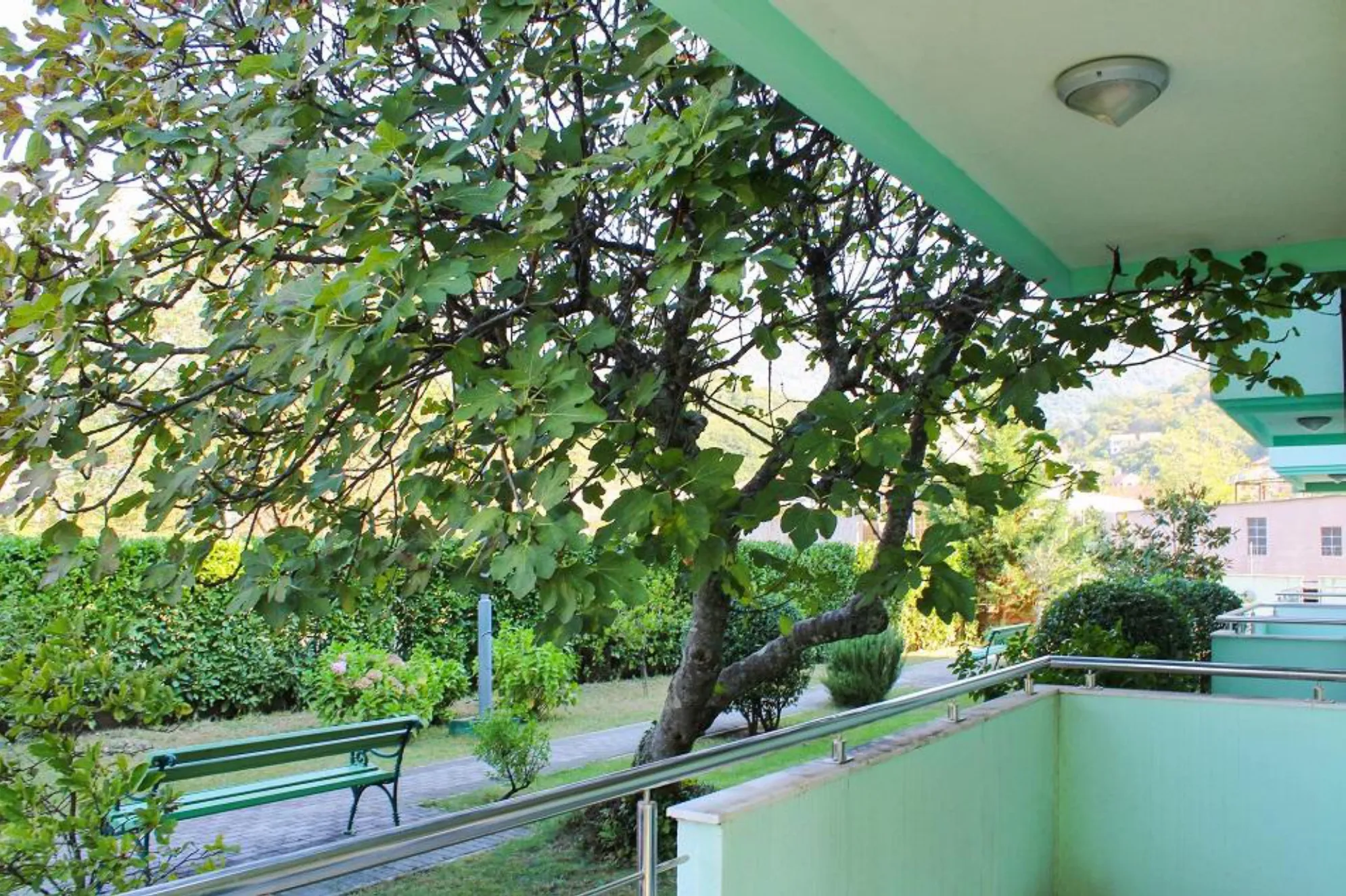 Apartments in complex with pool