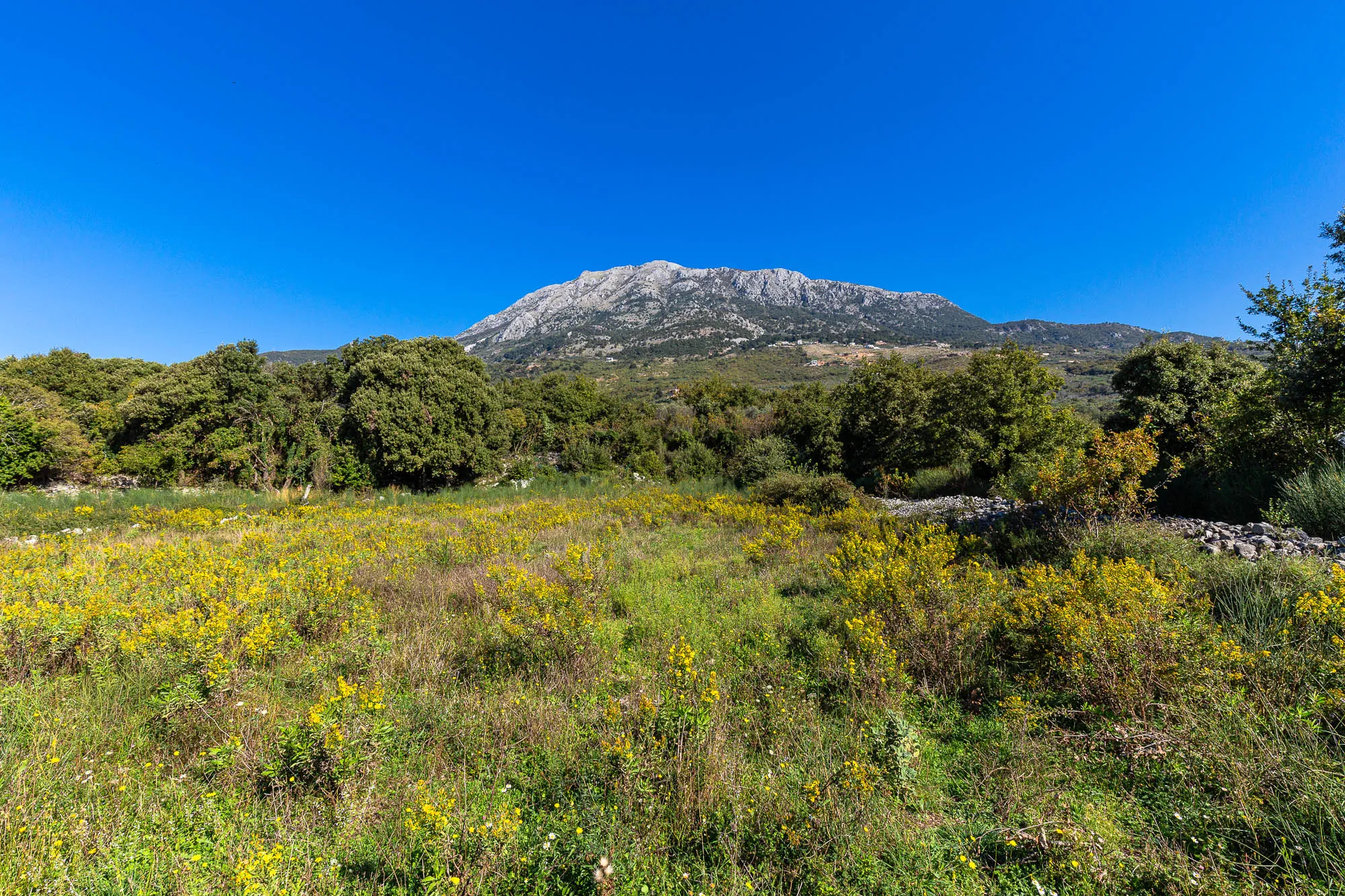 Plot in Bar-Pečurice 2003m²