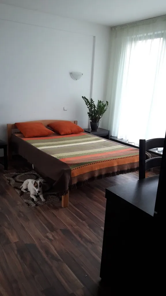 Two-storey house in Radanovici