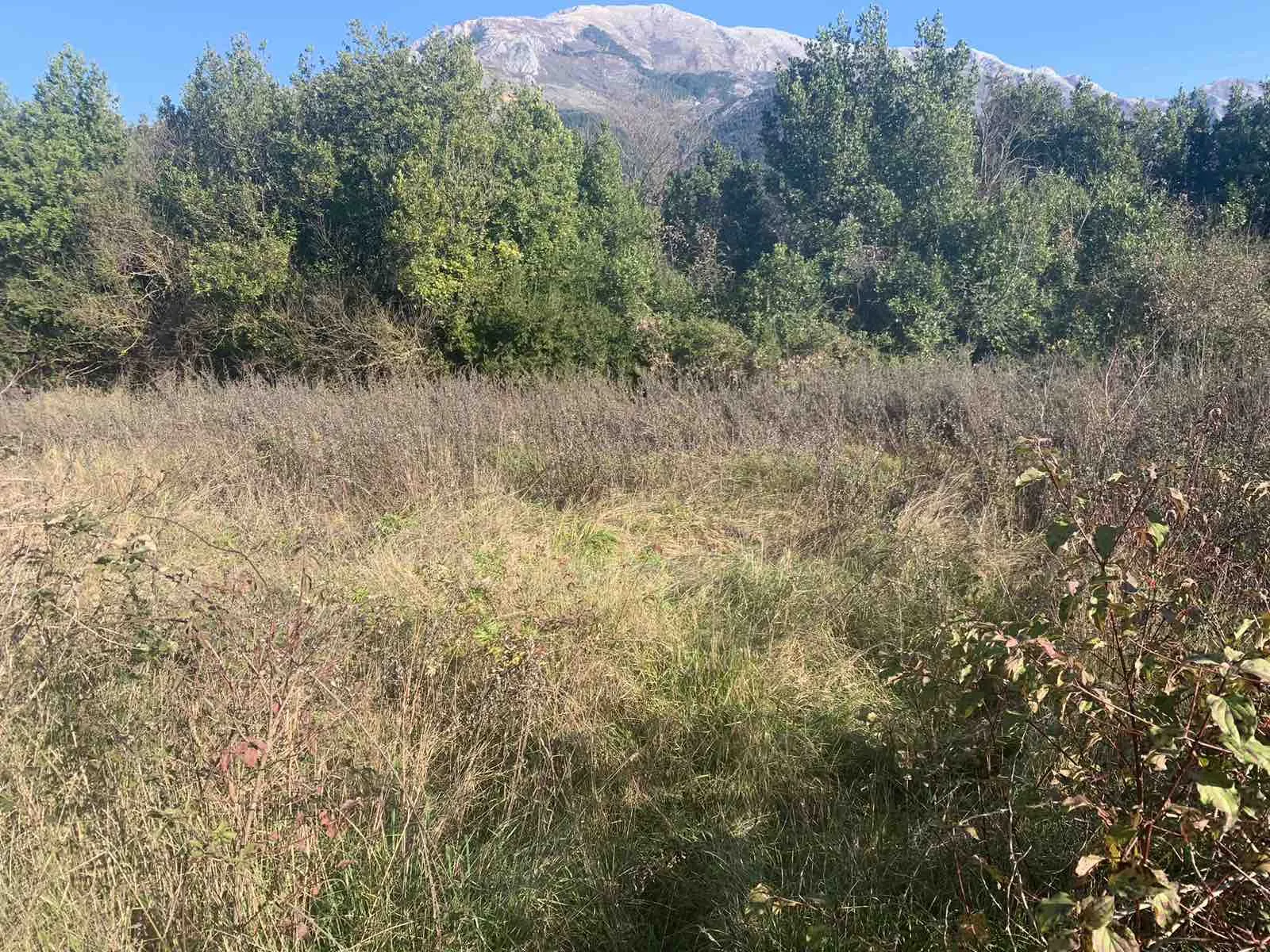 Urbanisiertes Grundstück in der Nähe von Kotor