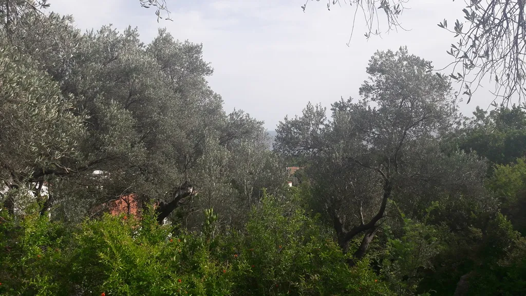 Участок в Будве