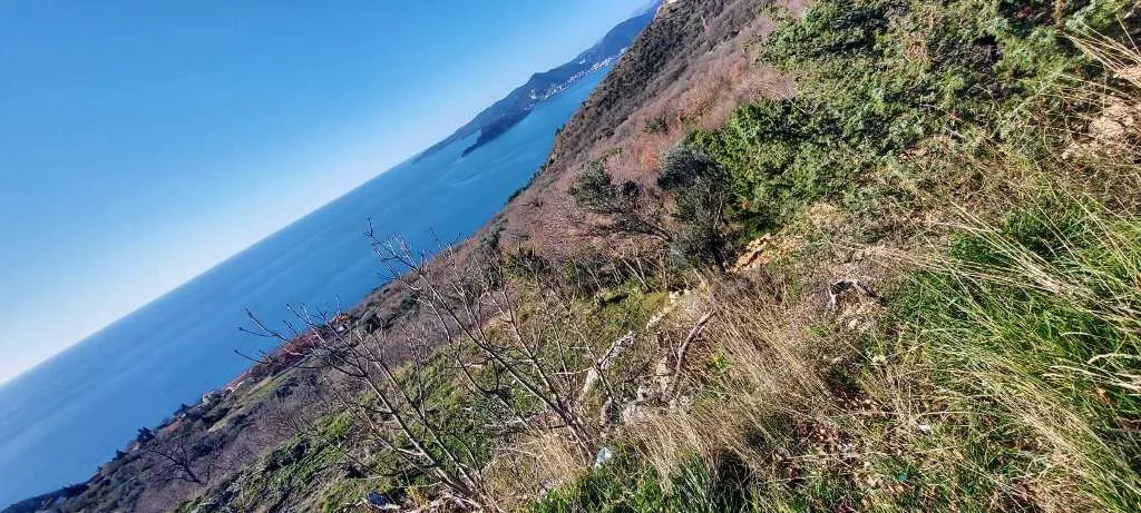 Grundstück in Blizikuce