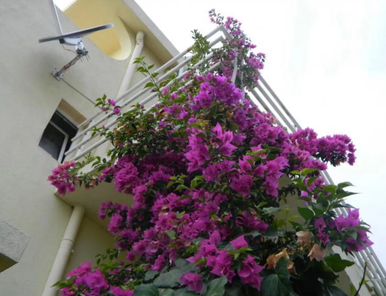 Large apartment house with panoramic sea views