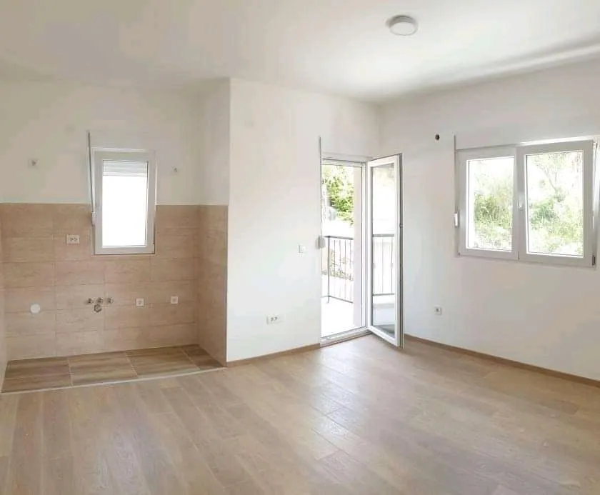 Spacious and bright apartment in Igalo