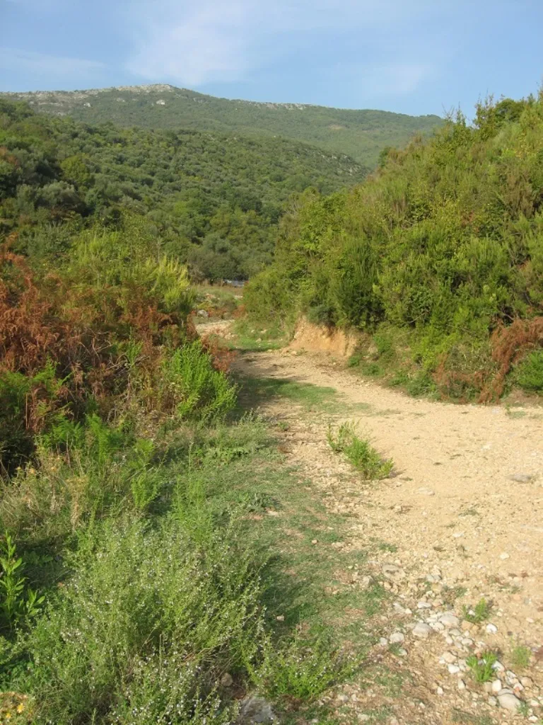 Участок в Кути