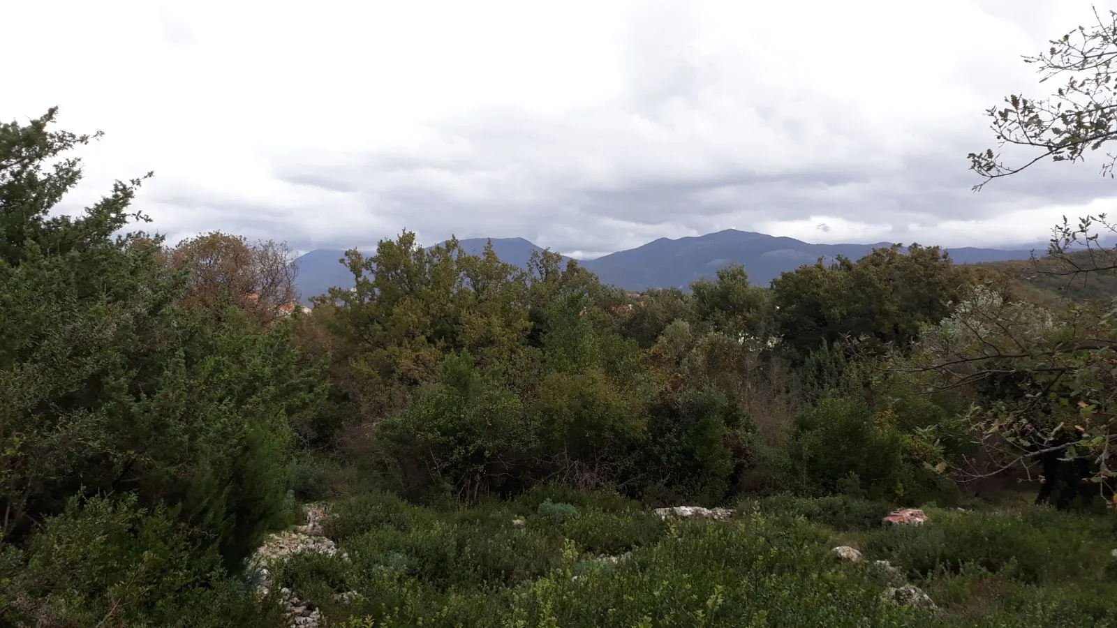 Земельный участок в поселке Радовичи