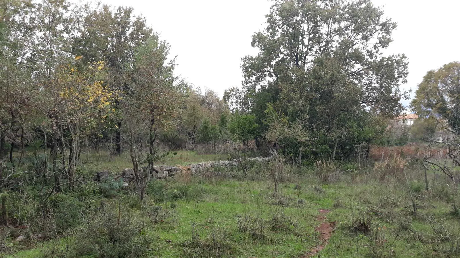 Земельный участок в поселке Радовичи