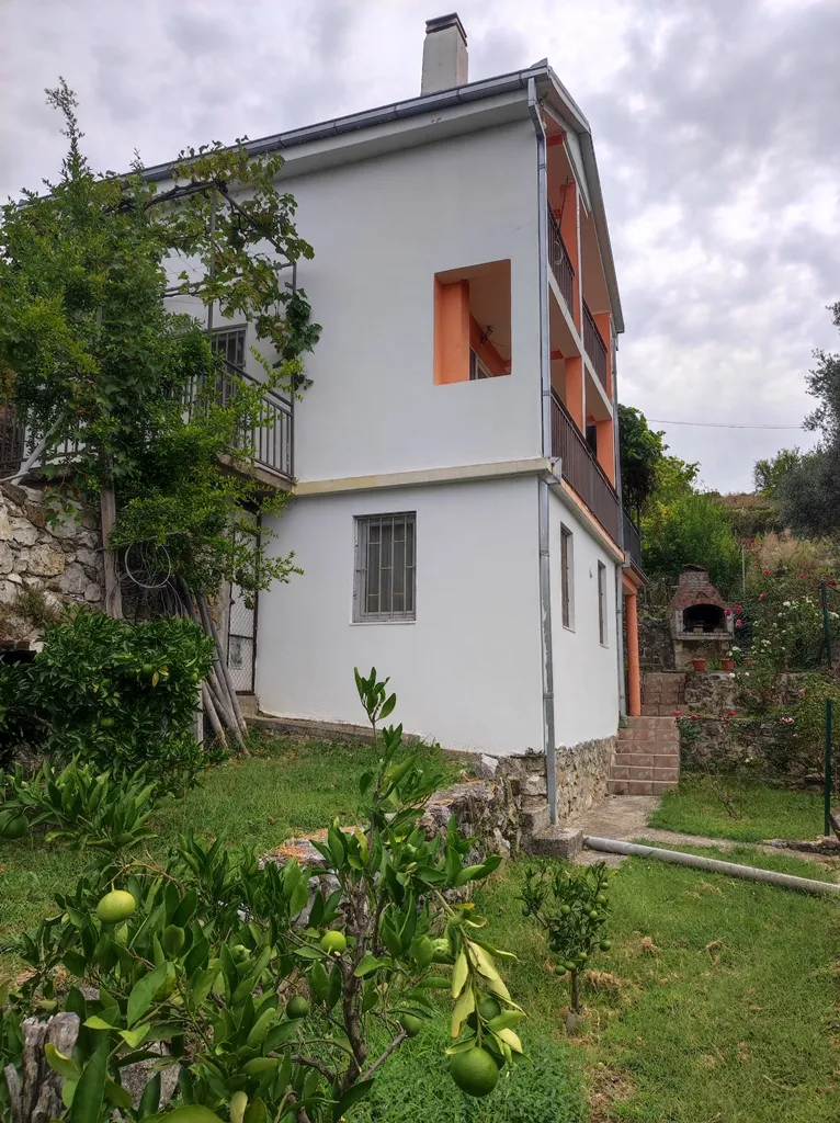 Two-story house with a large plot