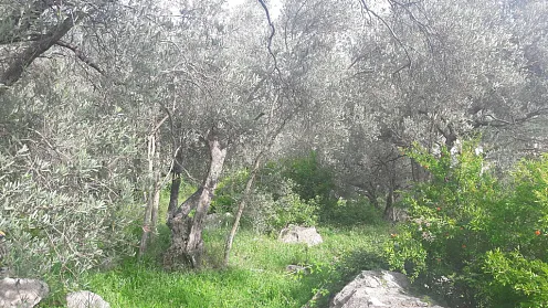 Участок в Будве