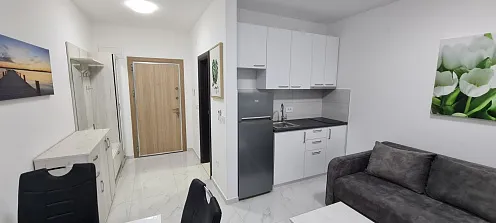 Уютная студия с большой террасой