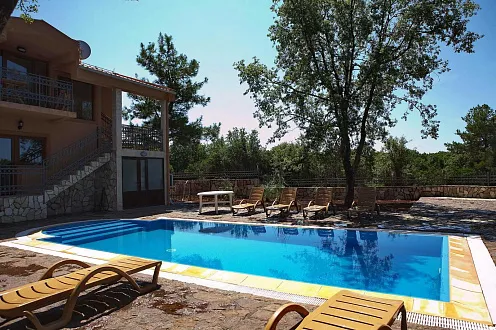 Two Villas in Krimovice with swimming pools and a large plot